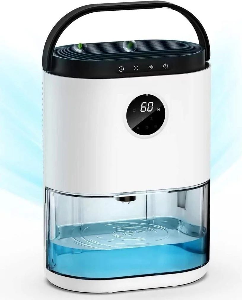 The Science of Humidity, Condensation & Damp Homes