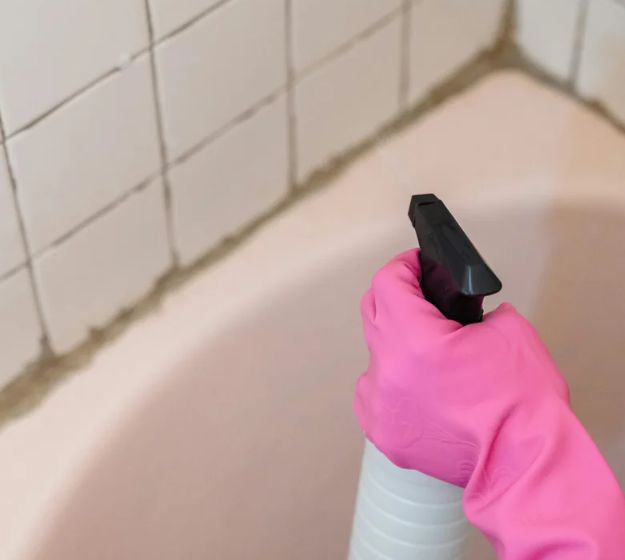 Should I DIY Mould Removal in My Home?